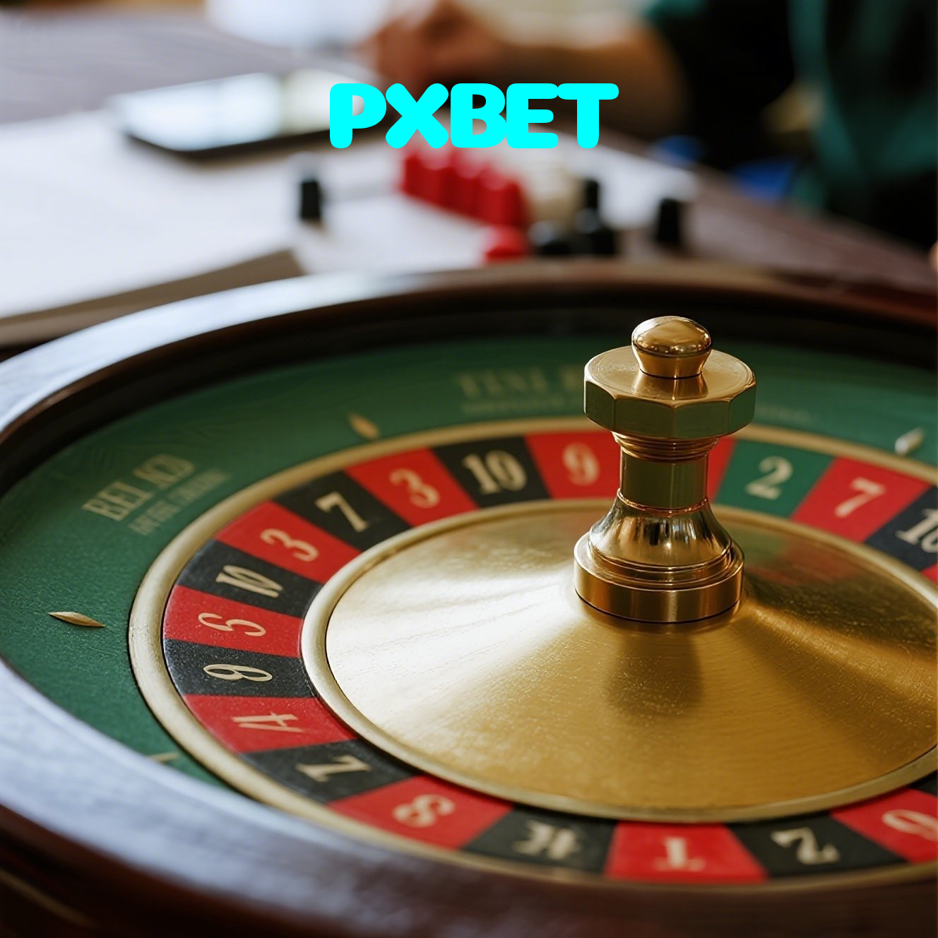 PXBET visual