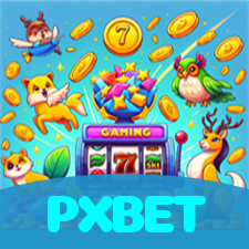 PXBET visual